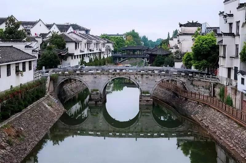 茂密丛林逃生